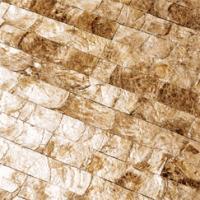 maya romanoff mother of pearl tile